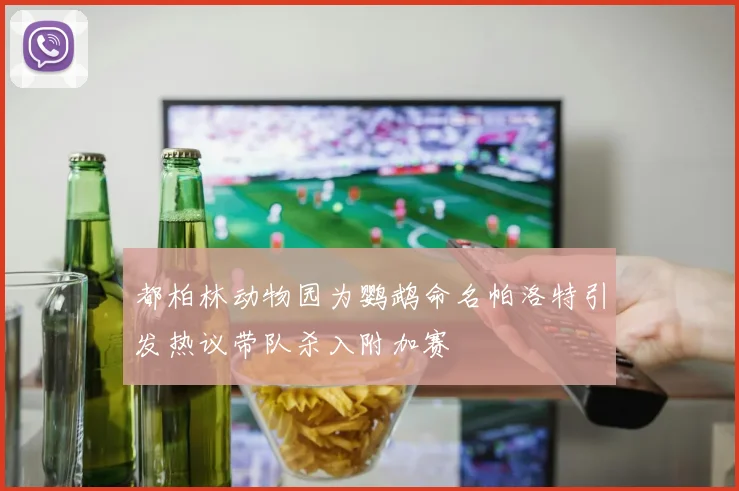 都柏林动物园为鹦鹉命名帕洛特引发热议带队杀入附加赛