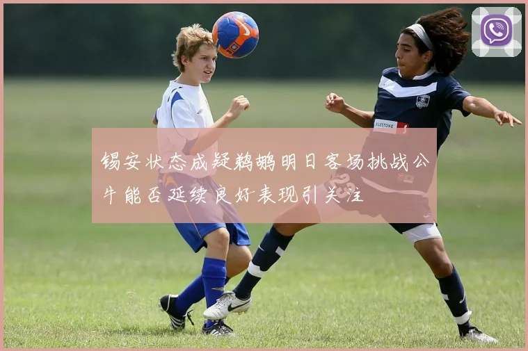 锡安状态成疑鹈鹕明日客场挑战公牛能否延续良好表现引关注