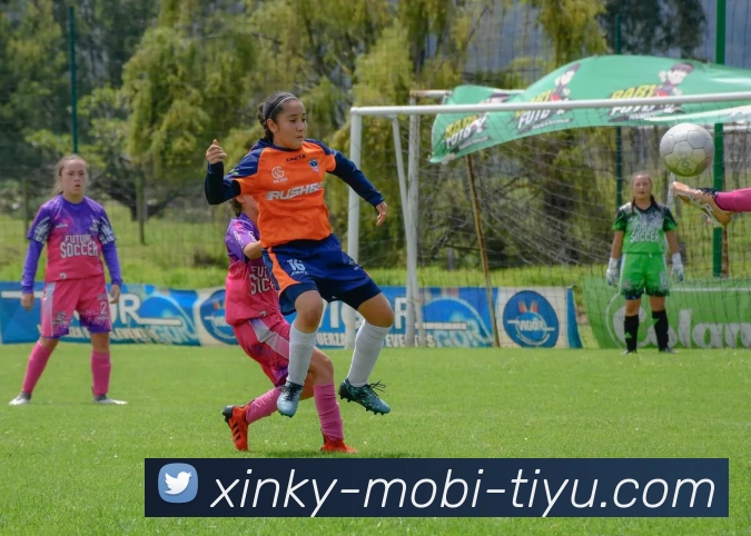 App Interface Preview